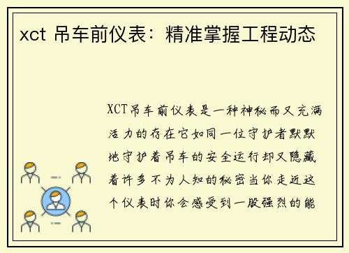 xct 吊车前仪表：精准掌握工程动态